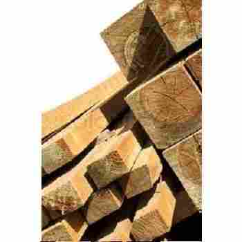 Industrial Pine Wood Logs