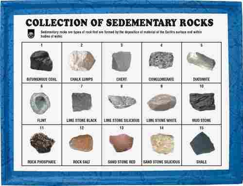 Set of 15 Sedimentary Rocks Collections