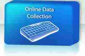 Online Data Collection Services