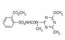 Tribenuron-Methyl 75% WDG