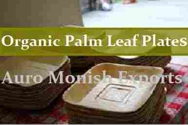 Organic Palm Leaf Plates