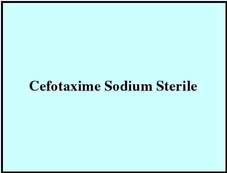 Cefotaxime Sodium Sterile