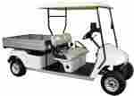 Electric Golf With Cargo Box