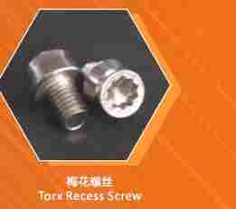 Tork Recess Screw