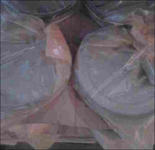 Anti Corrosive Plastic Bags 
