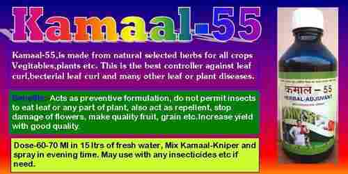 Kamaal-55