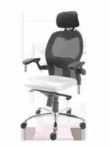 Mesh Back Office Executive Chair