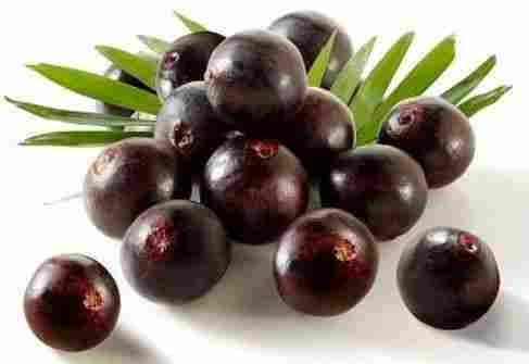 Acai Berry Extract - Anthocyanin And Polyphenols