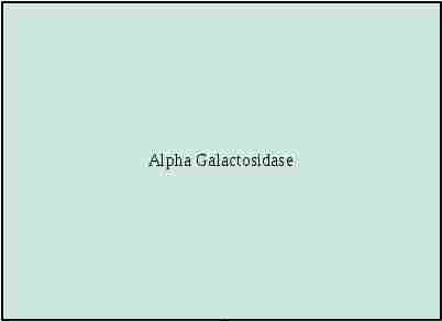 Alpha Galactosidase