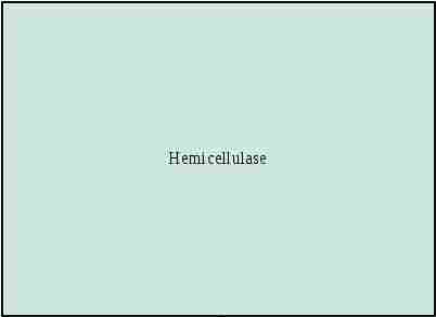 Hemicellulase