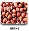 UNIPRO Beans