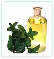 Best Quality Mentha Oil