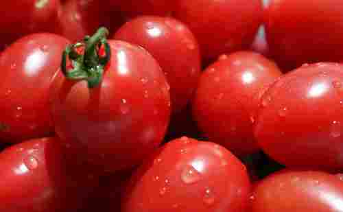 100% Natural Fruit Extract Tomato Extract (Lycopene)