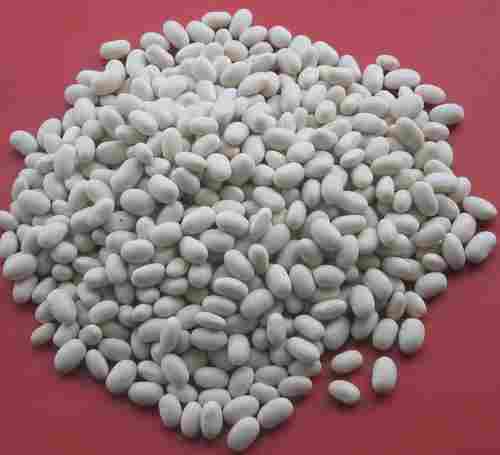Natural White Kidney Bean Extract