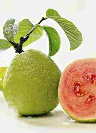 Guava Pulp (White/Pink)