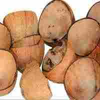 Coconuts Shells