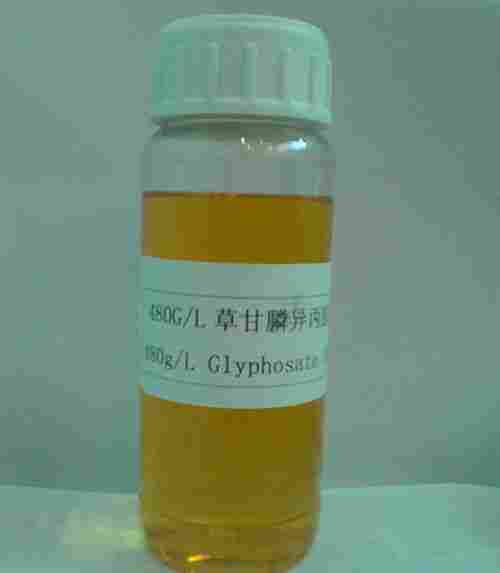 480g/L Glyphosate Ipa Salt