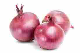 Best Quality Onion