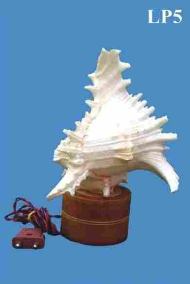 Seashell Craft Table Lamp