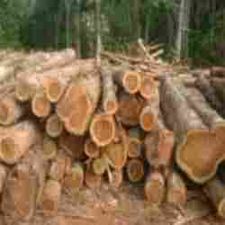 Wood Round Logs