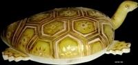 Marble Tortoise