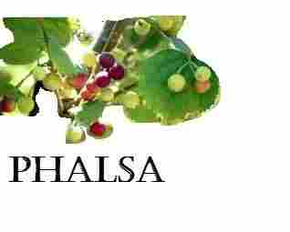 Organic Phalsa