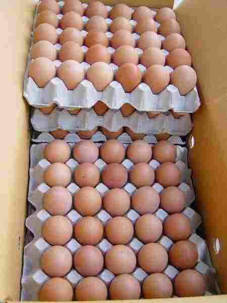 White And Brown Fresh Chicken Eggs