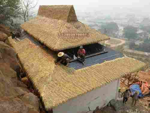 Roof Top Thatch