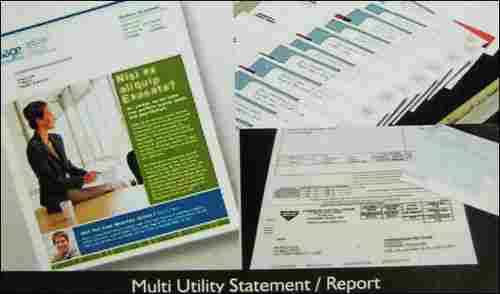 Multi Utility Statement And Report Variable Data Printing Services
