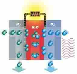 Power Generation through Hydrogen Fuel Cells