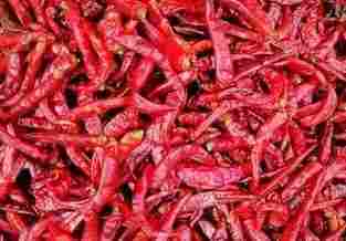 Chili Pepper And Capsicum Extract