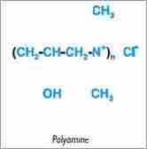 Polyamine Polylectrolytes