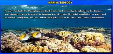 Glossy Lamination Marine Biology Survey