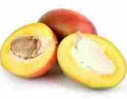Africa Mango Seed Extract 