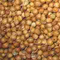 Coriander Seeds