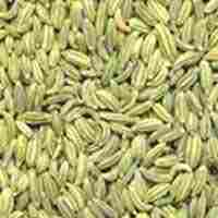 Fennel Seeds