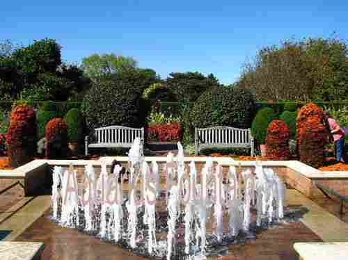 Foam Jet Fountain