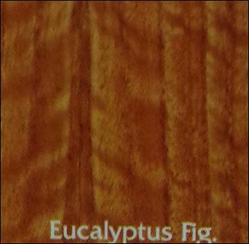 Eucalyptus Fig. Plywood