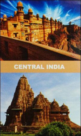 Central India Tour Services