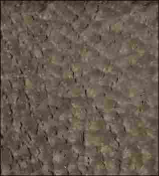 Bronze Polycarbonate Sheet (Tp41630em)