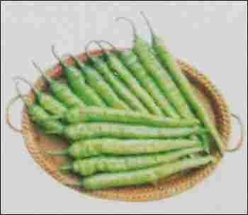 Hybrid Green Chilly Seeds (Bikram)