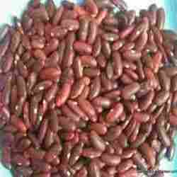 Rajma (Kidney beans)