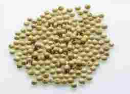Celery Seed (8 to 12.5% VO)