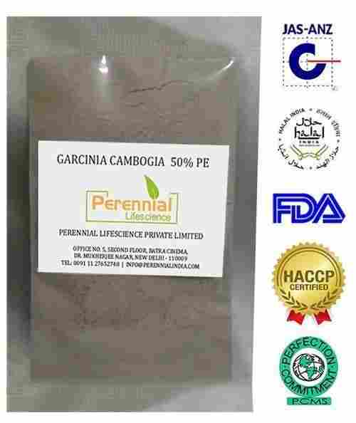 Garcinia Cambogia Extract Powder