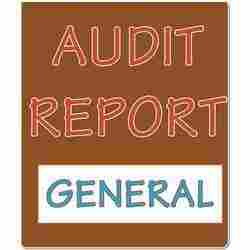 Annual Environmental Audit Report
