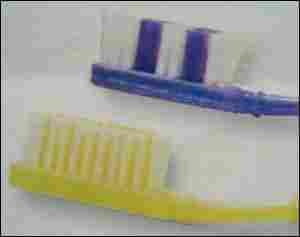 Tooth Brushes Bristles