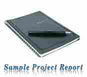 Project Consultancy Report