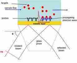 Surface Plasmon Resonance System