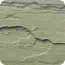 Natural Sandstone Paving (Raj Green)