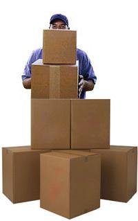 Professional Packing And Unpacking Service